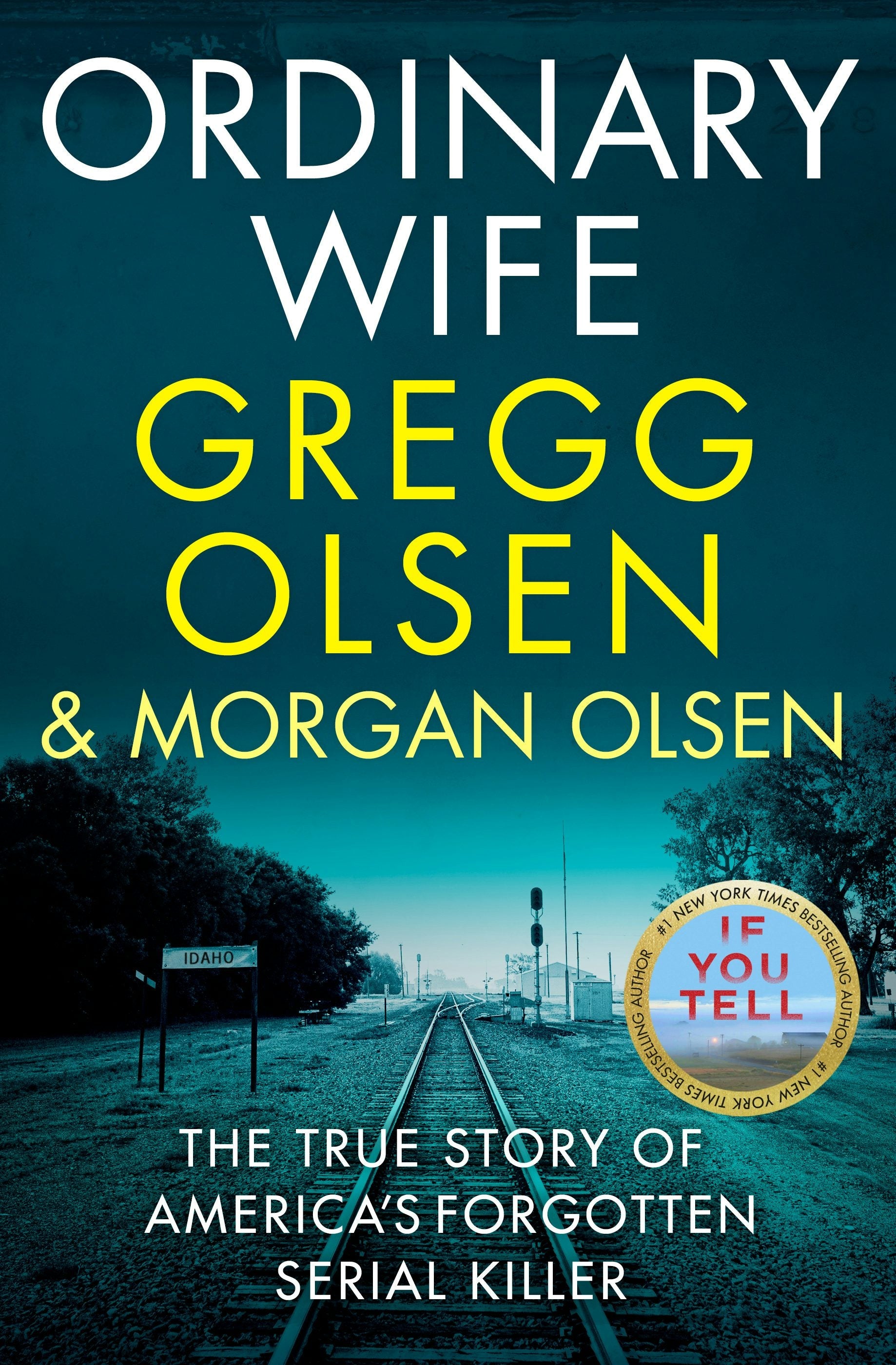 Book cover image for Ordinary Wife ISBN: 9781918505047